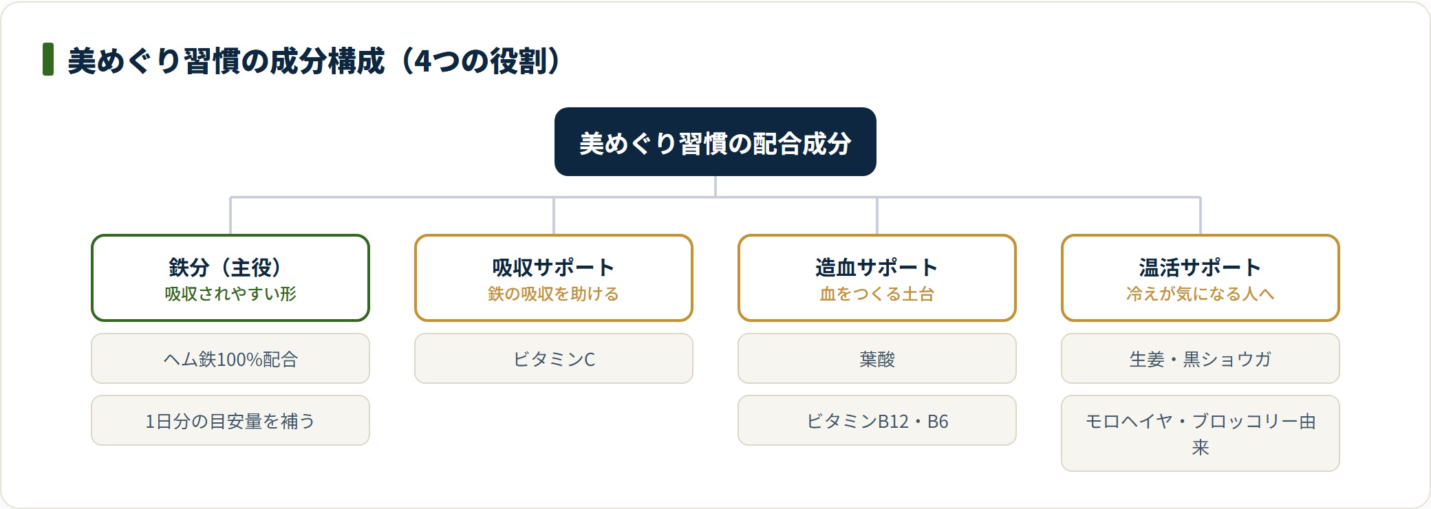 美めぐり習慣の配合成分を、ヘム鉄100%の鉄分・ビタミンCの吸収サポート・葉酸やビタミンB群の造血サポート・生姜など温活サポートの4つの役割に分類した図