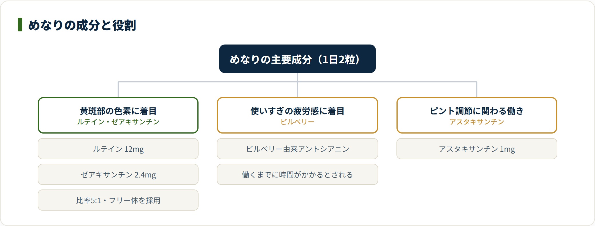 めなりの主要成分を、黄斑部の色素に着目したルテイン12mgとゼアキサンチン・使いすぎの疲労感に着目したビルベリー・ピント調節に関わるアスタキサンチンの役割に分類した図