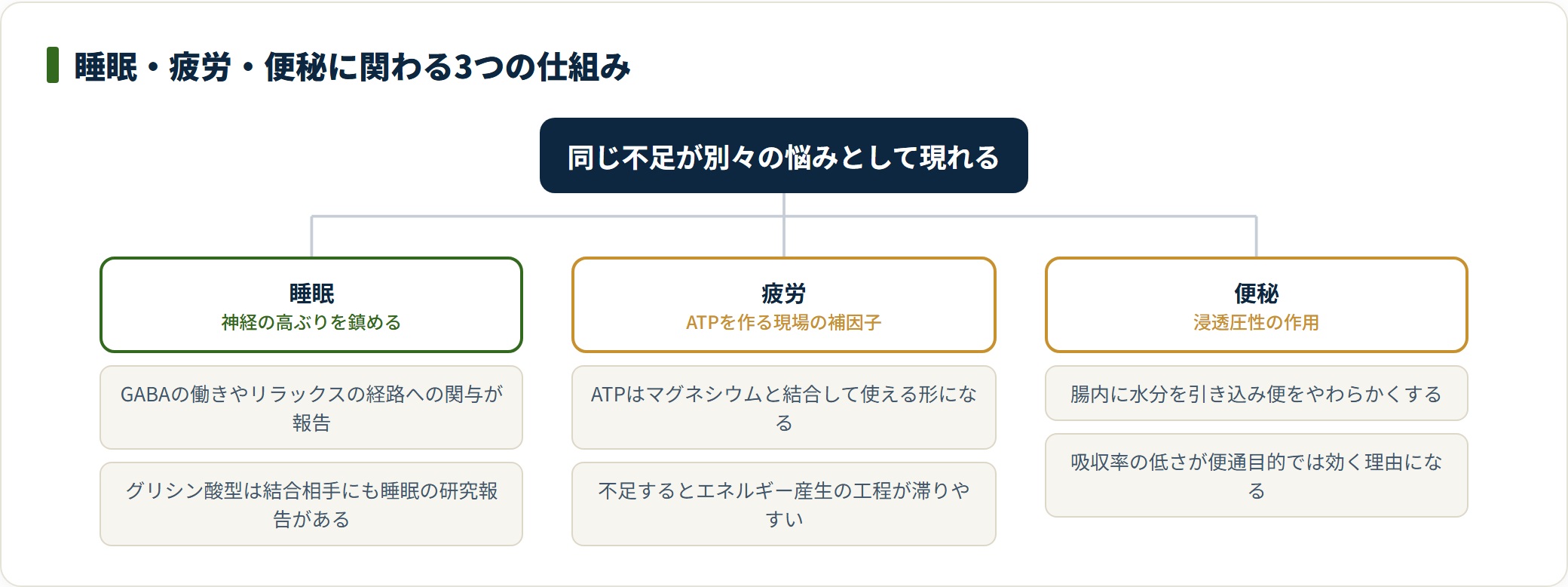 マグネシウムは神経の興奮抑制、ATP産生の補因子、腸への浸透圧性という3つの経路で睡眠・疲労・便秘に関わる。