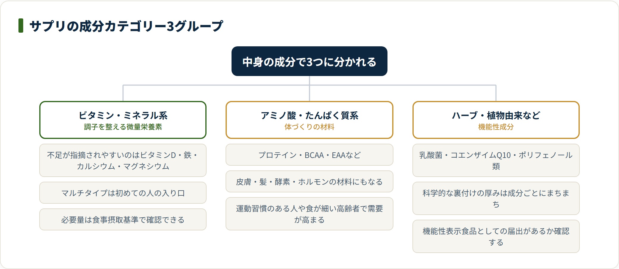 サプリはビタミン・ミネラル系、アミノ酸・たんぱく質系、ハーブや機能性成分の3グループに大別できる。