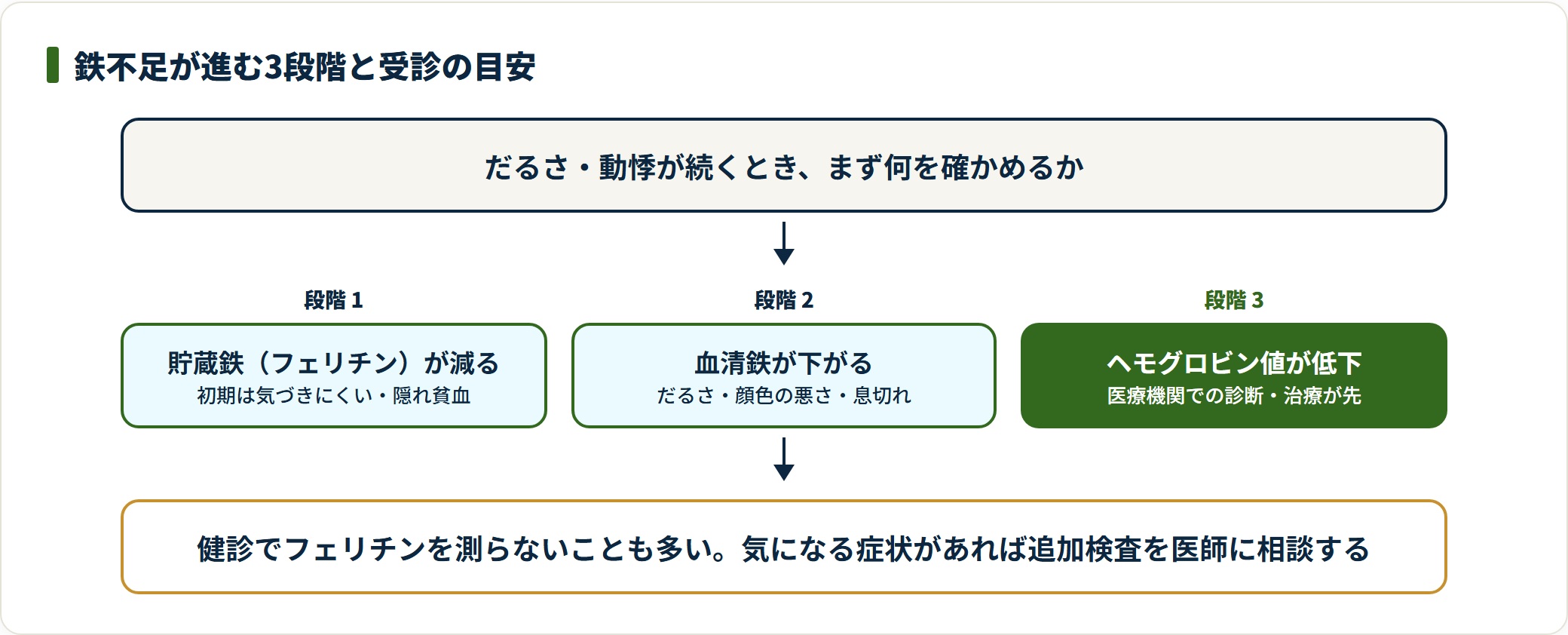 鉄不足は貯蔵鉄の減少、血清鉄の低下、ヘモグロビン値の低下の順に進み、大きな低下は医療機関での対応が先になる。