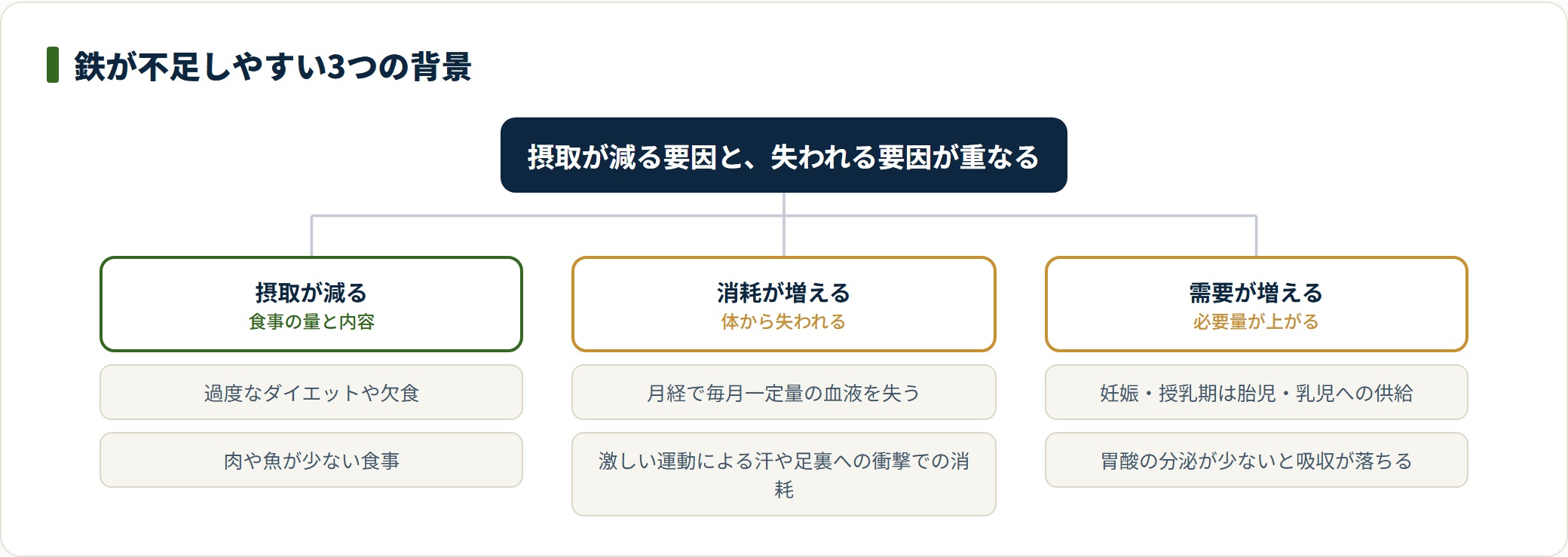 鉄はダイエットや欠食による摂取減、月経や運動による消耗増、妊娠授乳などの需要増が重なると不足しやすい。