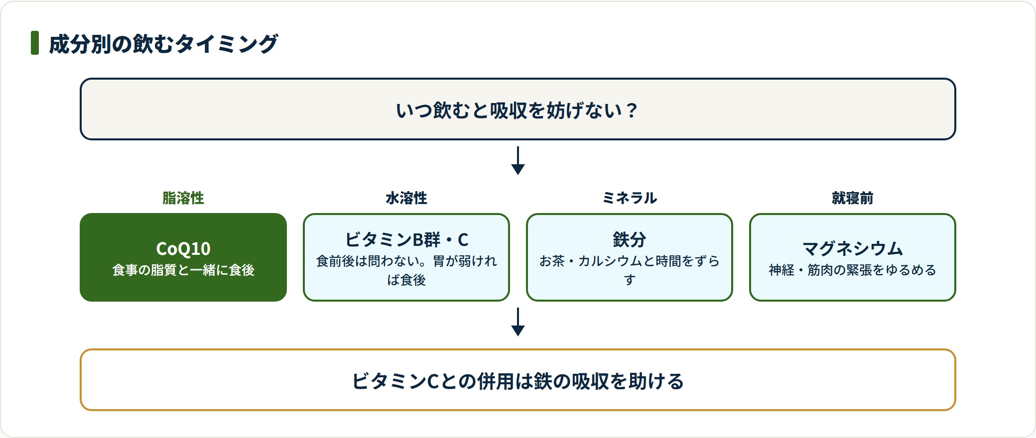 疲れ対策のサプリを成分別に飲むタイミングで整理した図。脂溶性のCoQ10は食後、水溶性のビタミンB群やCは食前後を問わず、鉄はお茶やカルシウムと時間をずらし、マグネシウムは就寝前が目安。