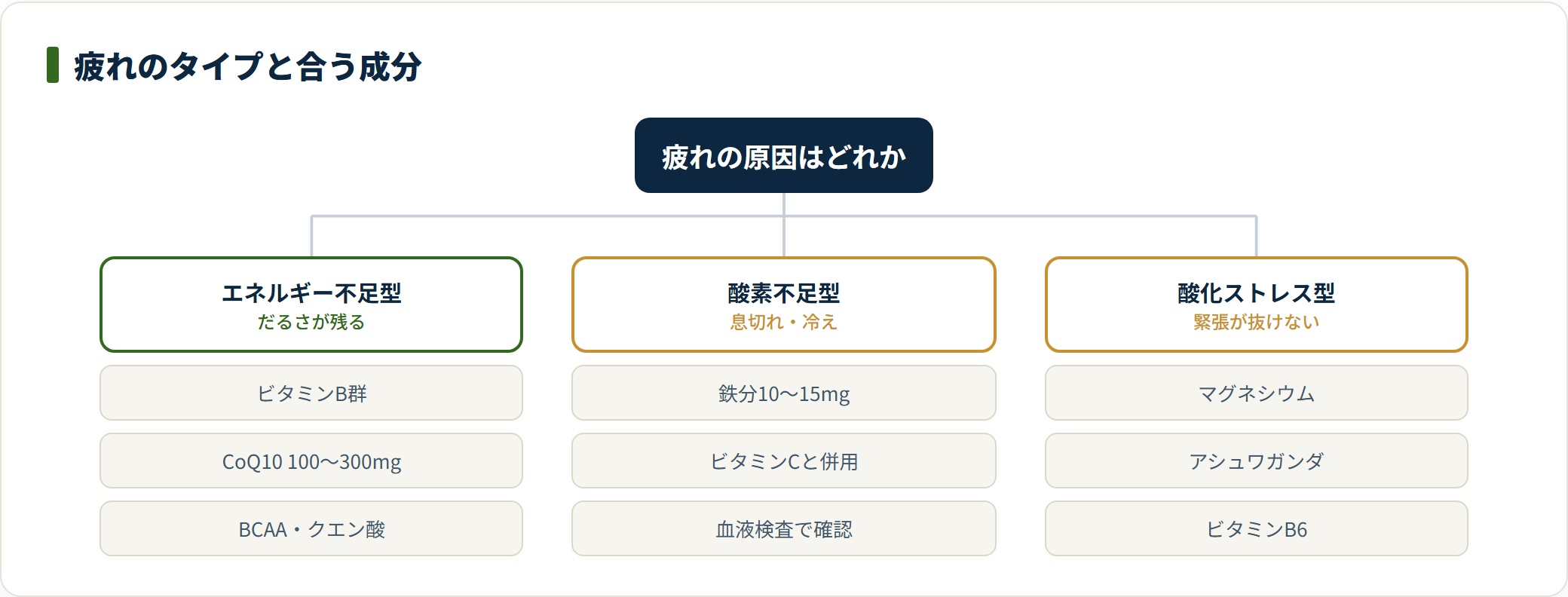 疲れをエネルギー不足型・酸素不足型・酸化ストレス型の3タイプに分け、それぞれで候補になる成分と確認事項を整理した図。