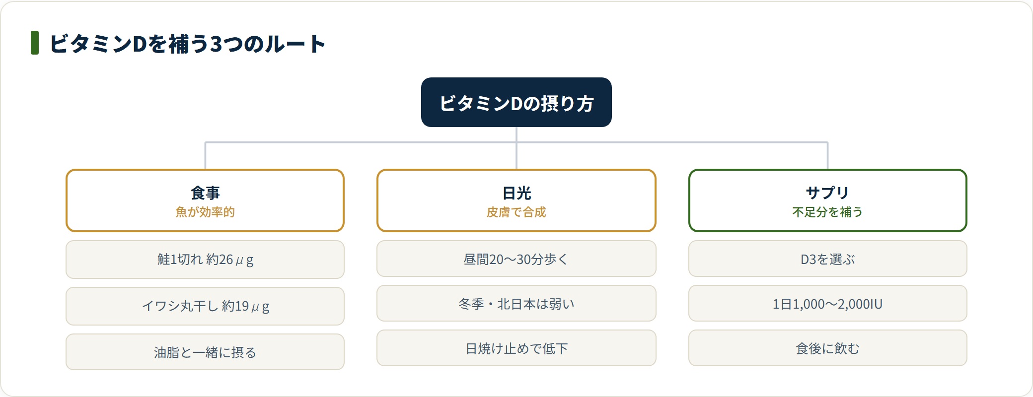 ビタミンDを補う3つのルートを整理した図。食事は鮭やイワシなどの魚、日光は昼間20〜30分の外出、サプリはD3を1日1,000〜2,000IU食後に、という目安を示している。