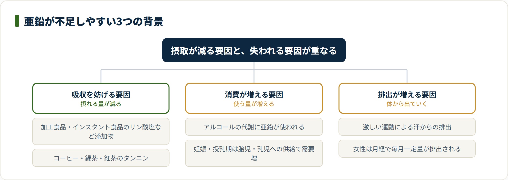 亜鉛は食品添加物などによる吸収阻害、飲酒や妊娠授乳による消費増、発汗や月経による排出増が重なると不足しやすい。