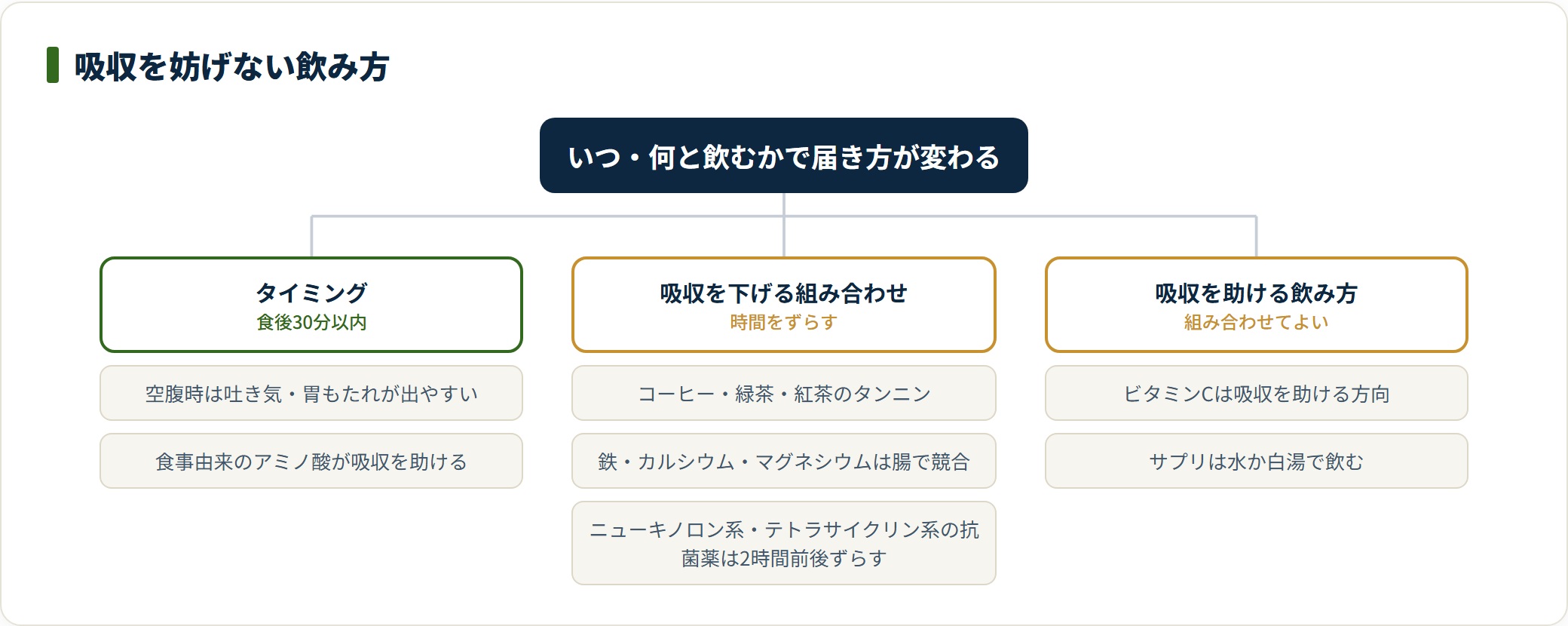 亜鉛は食後30分以内に水か白湯で飲み、タンニンや競合ミネラル・一部の抗菌薬とは時間をずらす。